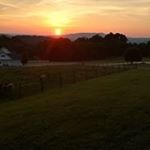 Profile Picture of Sherry Shepard (@sherryshep17) on Instagram