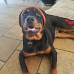 Profile Picture of Bo Jenkins (@bo_on_thego) on Instagram