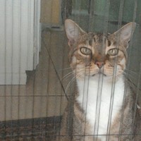 Profile Picture of Michael Spadafora (@michael-spadafora-8) on Quora