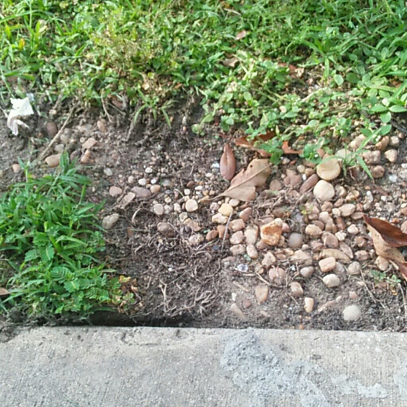 Profile Picture of Brian Simpson (@bsimp13170) on Poshmark