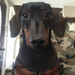 Profile Picture of raymond.james.donavon (@raymond.james.donavon) on Instagram