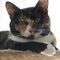Profile Picture of Frances Newcomb (@frances.newcomb.73) on Facebook