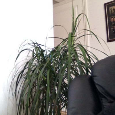 Erik Holmen - Twitter Profile Picture of Erik Holmen (@kire122) on Twitter