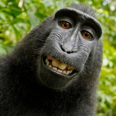Profile Picture of Mike Willis (@M1key108) on Twitter