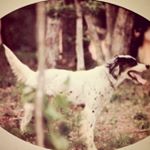 Profile Picture of  sarah  (@sarah_pyon) on Instagram
