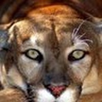 Profile Picture of Eduard Kusayev (@eduard-kusayev) on Quora