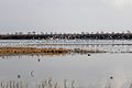 Profile Picture of Kalochori, Thessalonikion Wikipedia
