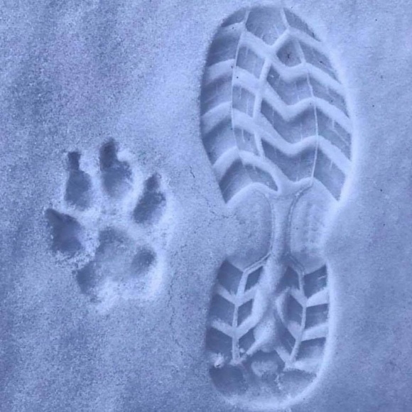 Louisa Kastner - Poshmark Profile Picture of Louisa Kastner (@louisa_kastner) on Poshmark