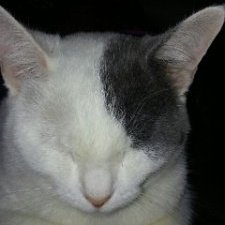 Profile Picture of Paul Strickler (@PaulStrickler8) on Twitter