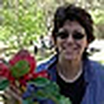 Profile Picture of Andiwolfe (@andiwolfe) on Flickr