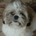 Profile Picture of Brian Farmer (@Dougal2222) on Flickr