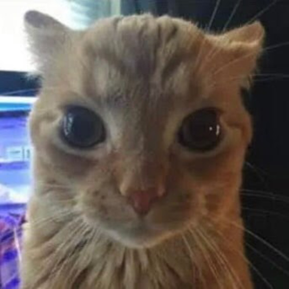 Profile Picture of Cory Kronberg (@ckro532) on Poshmark