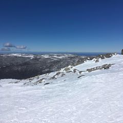 Profile Picture of Bart Phillips (@@bartphillips6) on Tiktok