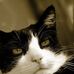 Profile Picture of Petal 'Snuggles' Field (@petalsnuggles.field) on Facebook