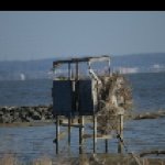 Profile Picture of David Ezzell (@ezzelldavid) on Instagram