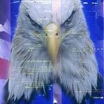 Profile Picture of William Joseph Harvell (@williamjosephharvell) on Instagram