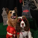 Profile Picture of Brian Branch (@Brian-Branch) on Facebook