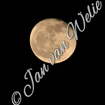 Profile Picture of Jan Van Welie (@janvanwelie) on Flickr