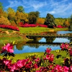 Profile Picture of Msleo Ariel Satrieba (@bunny.hatcheku.9) on Facebook