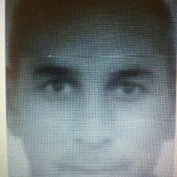 Profile Picture of Chris Elsinga (@dick_bic) on Twitter