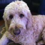 Profile Picture of David Hufham (@duncan19522019) on Instagram