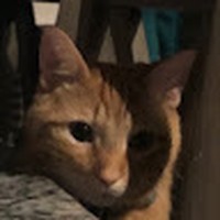 Profile Picture of Gavin Bletzinger (@gavin-bletzinger) on Quora