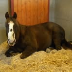 Jimmy LaPrade - Facebook Profile Picture of Jimmy LaPrade (@jimmy.laprade.7) on Facebook