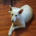 Profile Picture of Robin Jarvis (@robin.jarvis.3781) on Facebook