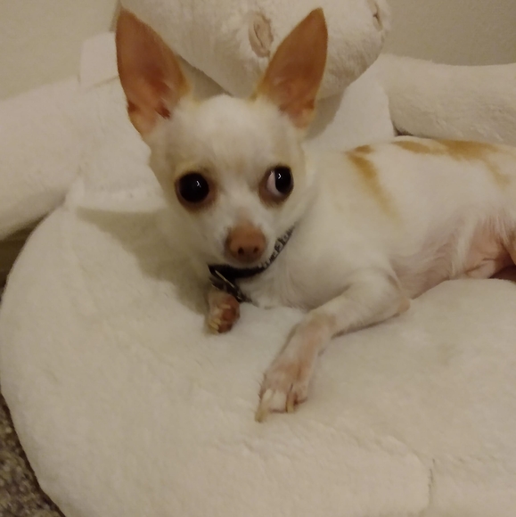 Profile Picture of Khrysty Khrysty (@khrystykhrysty) on Poshmark