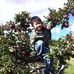 Profile Picture of Harold Nguyen (@harold.nguyen.568) on Facebook