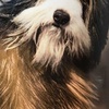 Profile Picture of Carlos Fonte (@@carlosfonte3) on Tiktok