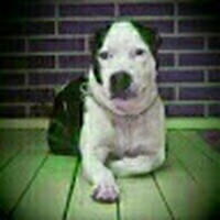 Profile Picture of Jonathan Menezes (@jonathan-menezes-8) on Quora