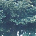 Profile Picture of Jesse Waters (@jesse.waters.71697) on Instagram