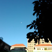 Profile Picture of Bell Liu (@bellliu) on Youtube