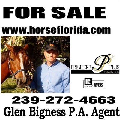 Profile Picture of Glen Bigness, P.A. (@horseflorida) on Twitter