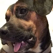 Profile Picture of Tony Frazier (@tfraz20) on Youtube