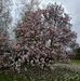 Profile Picture of Steven Botsford (@steven.botsford.52) on Facebook