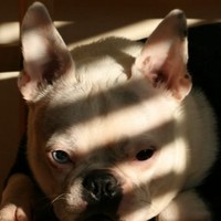 Profile Picture of Austin Cooper (@austin-cooper-32) on Quora