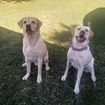 Profile Picture of Rudy and Bailey Brown (@rudyandbaileybrown) on Instagram