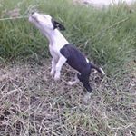 Profile Picture of Byron Alexander Peña Guadarram (@byron_alexander10) on Instagram