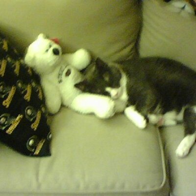 Profile Picture of Elizabeth Kuntz (@BKuntzPensFan) on Twitter