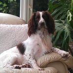 Profile Picture of Gary Keen (Miss Lips) (@gary.keen.773) on Facebook