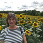 Profile Picture of Mary Wood-Constable (@mwoodc) on Instagram