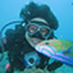 Profile Picture of Angie Ho (@angie_honc) on Flickr