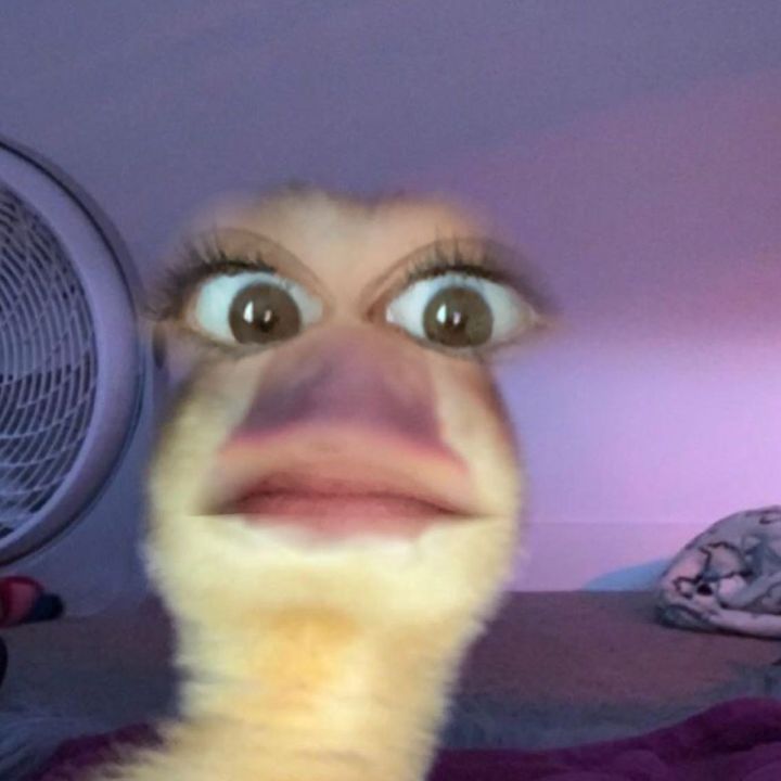 Profile Picture of kyra jean (@kyraajeannnn) on Tiktok