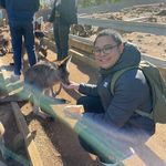 Profile Picture of Joseph Juranes (@josephjuranes) on Instagram