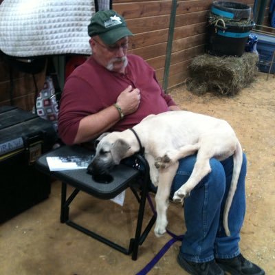 Profile Picture of Robert Bellefeuille (@RobertBellefeu1) on Twitter