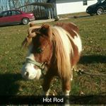 Profile Picture of 🦄christina_claypool (@christina_claypoo) on Tiktok