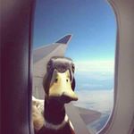 Profile Picture of Sean lowrey (@seanbl6980) on Instagram