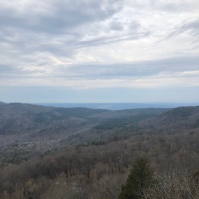 Profile Picture of Lance Adkins (@LanceDave) on Twitter